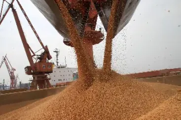 原油带动豆粕上涨原因(原油带动豆粕上涨原因是什么)_https://yy.meihuadianqi.com_原油直播_第1张