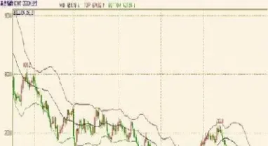 期货郑麦205什么意思(郑麦期货是什么)_https://yy.meihuadianqi.com_原油期货行情_第1张