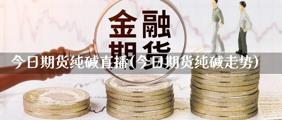 今日期货纯碱直播(今日期货纯碱走势)_https://yy.meihuadianqi.com_期货喊单_第1张